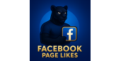购买1000个Facebook主页点赞